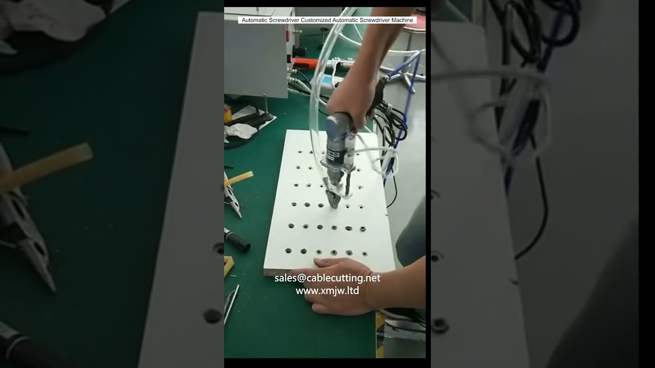 Automatic Screwdriver Customized Automatic Screwdriver Machine