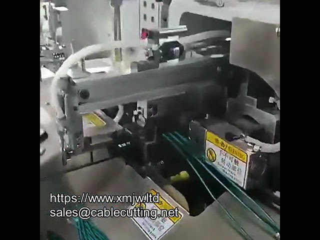 Fully Automatic Double Head Dip Tin Machine for 10-Wire Cutting, Stripping, and Twisting