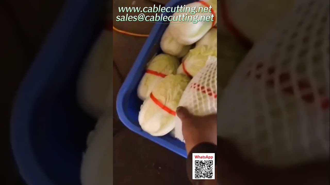 ماكينة تجميع المكرونة، الملفوف، القفازات   معدات خدمات غذائية